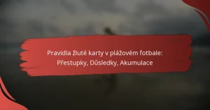Pravidla žluté karty v plážovém fotbale: Přestupky, Důsledky, Akumulace